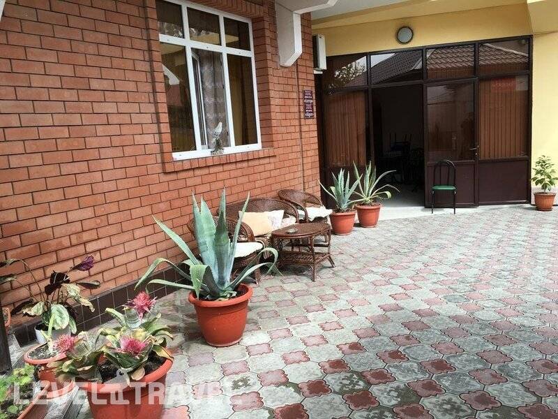 Фотография Алгор