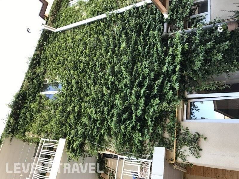 Фотография Гостевой Дом Южный Берег Фотография Гостевой Дом Южный Берег
