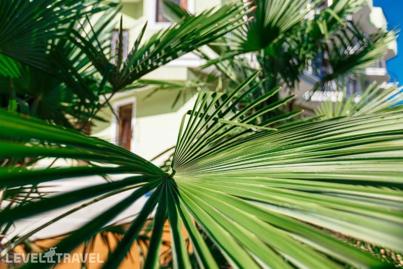 фотографии отеля Жемчужина Ямала в Россия(Лоо) - фото №7