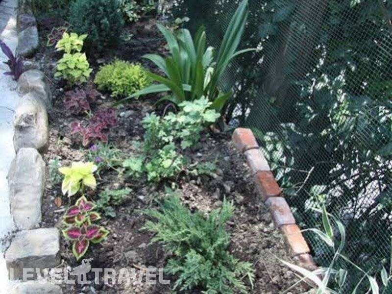 Фотография Отель Виноград