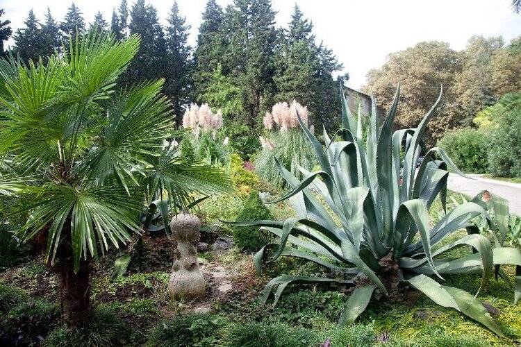 Пансионат Кристалл