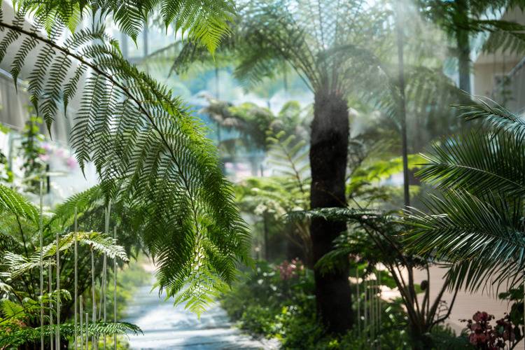 Санаторий Кристалл