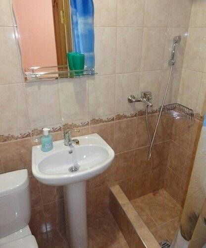 ГД Дельфин