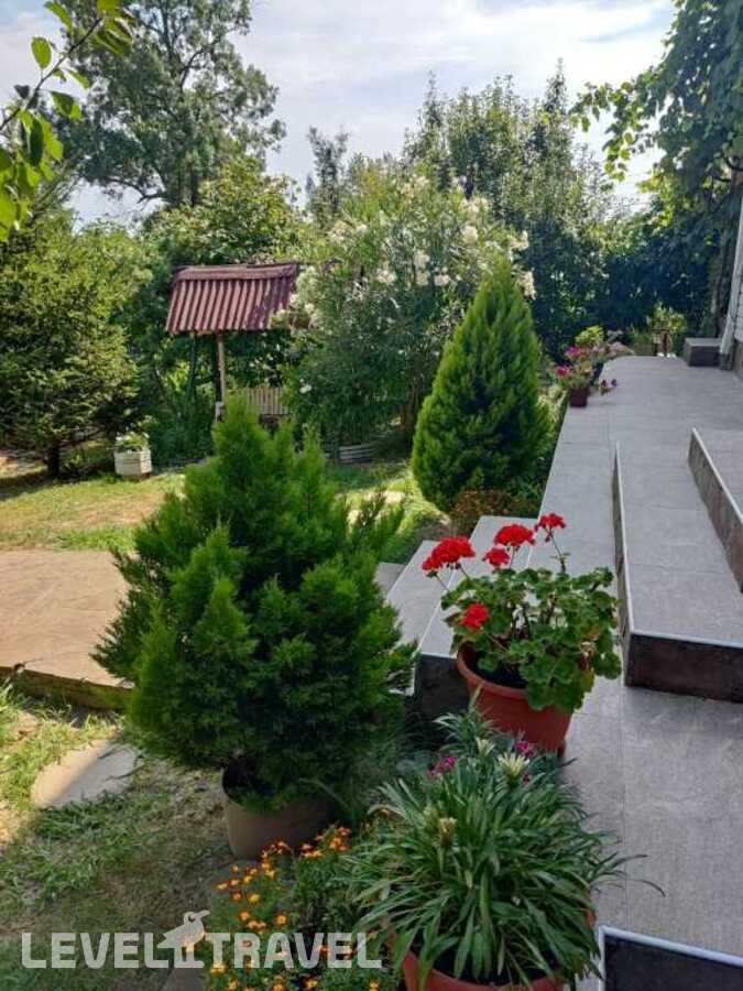 Изображение отеля 5