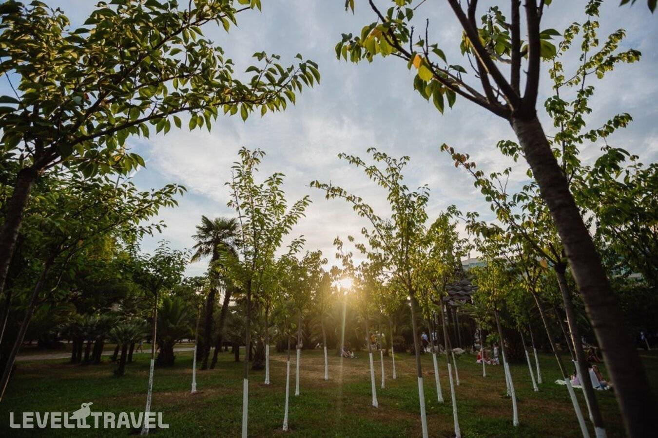 фотографии отеля Helix в Россия(Сочи - Центр) - фото №11