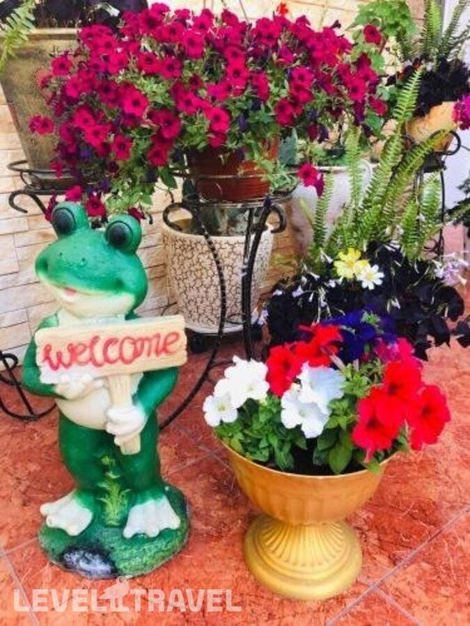 фотографии отеля Гостевой Дом Гуля в Россия(Кудепста) - фото №35