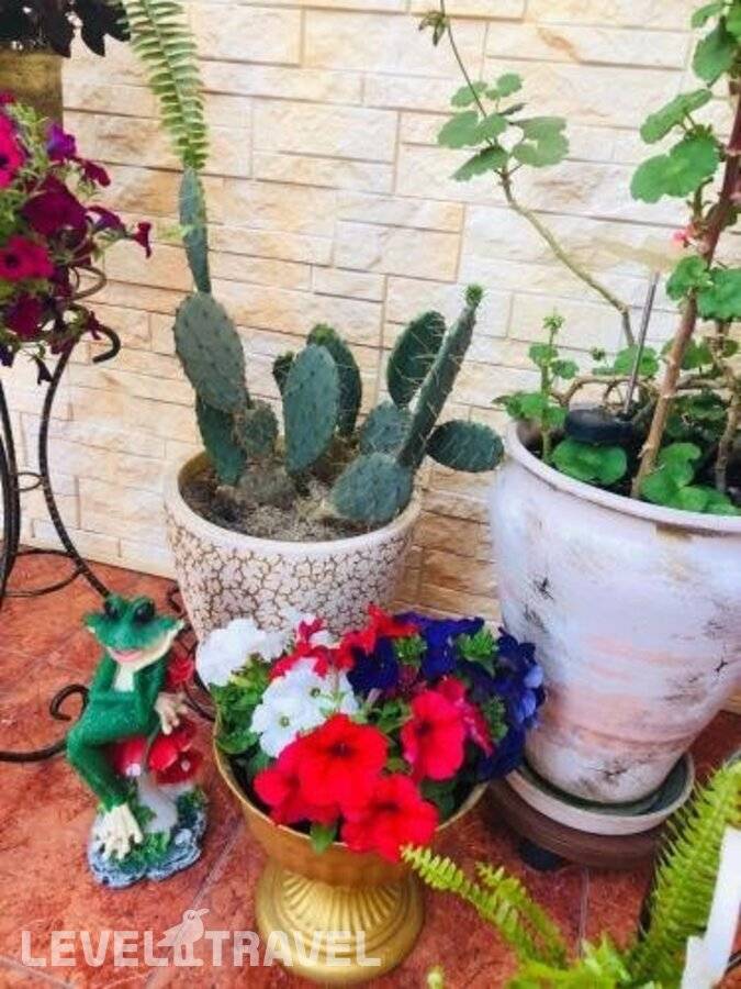 фотографии отеля Гостевой Дом Гуля в Россия(Кудепста) - фото №32