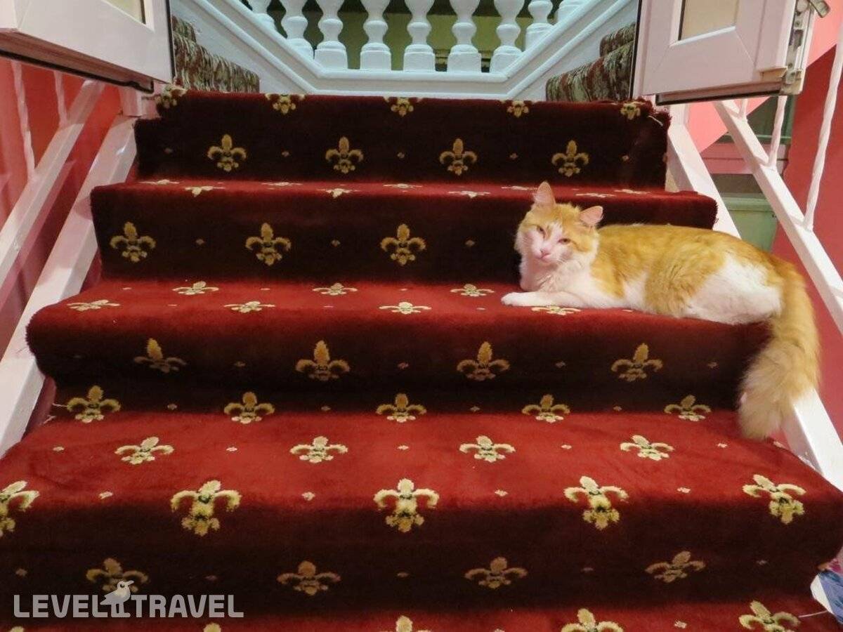 фотографии отеля Гостевой Дом Гуля в Россия(Кудепста) - фото №22