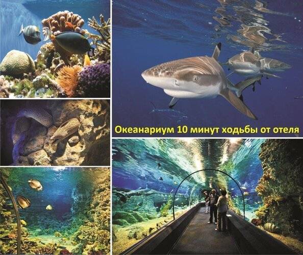 Гостевой Дом Гуля