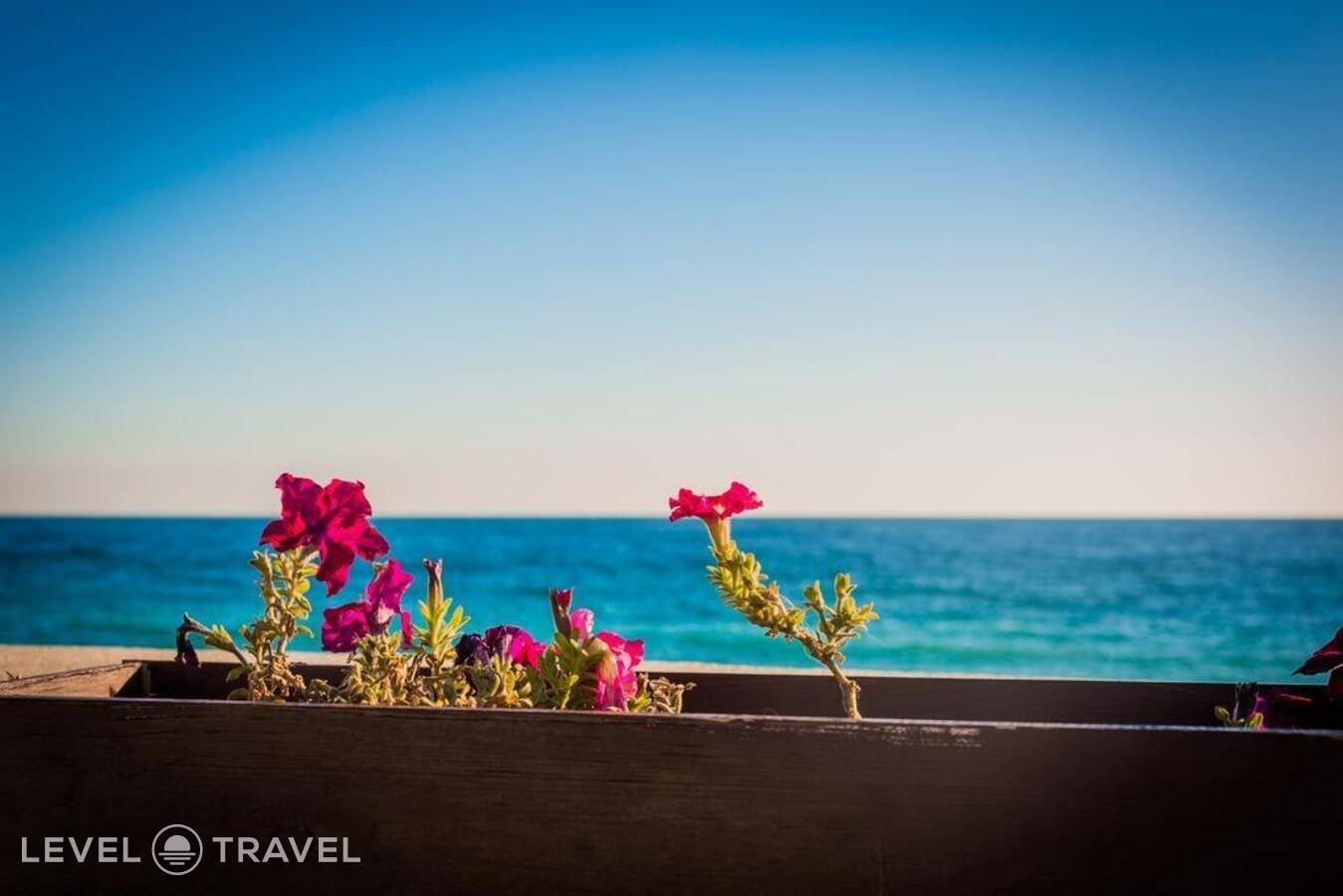 фотографии отеля Гостевой Дом На Улице Крамского в Россия(Адлер) - фото №23