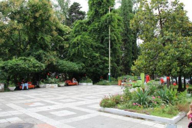 Волна