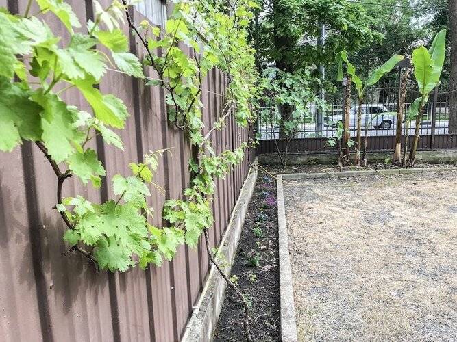 Отель Смайл — фото 14