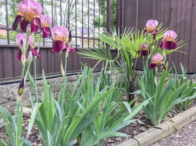 Отель Смайл — фото 8