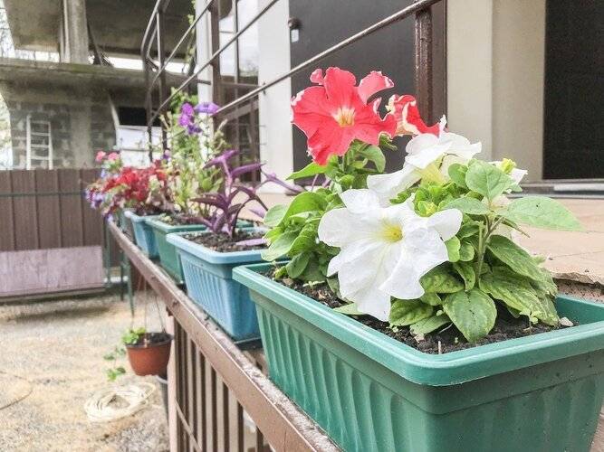 Отель Смайл — фото 19