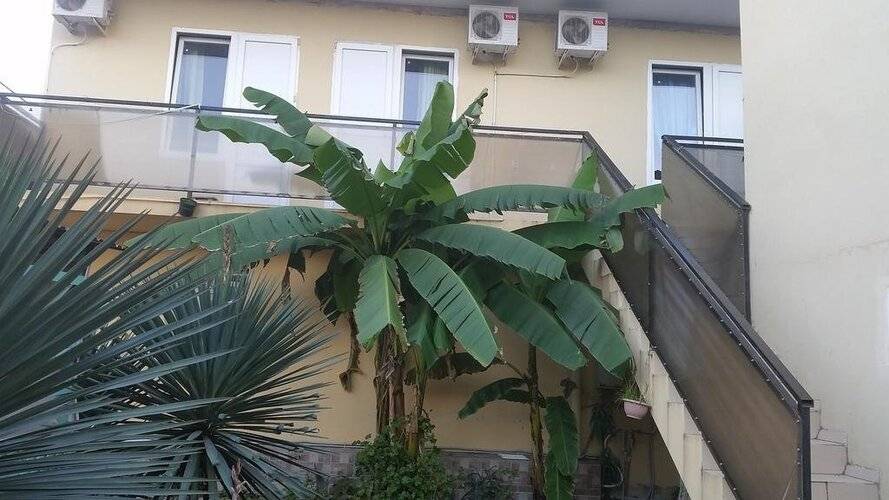 ГД Южная Звезда — фото 6