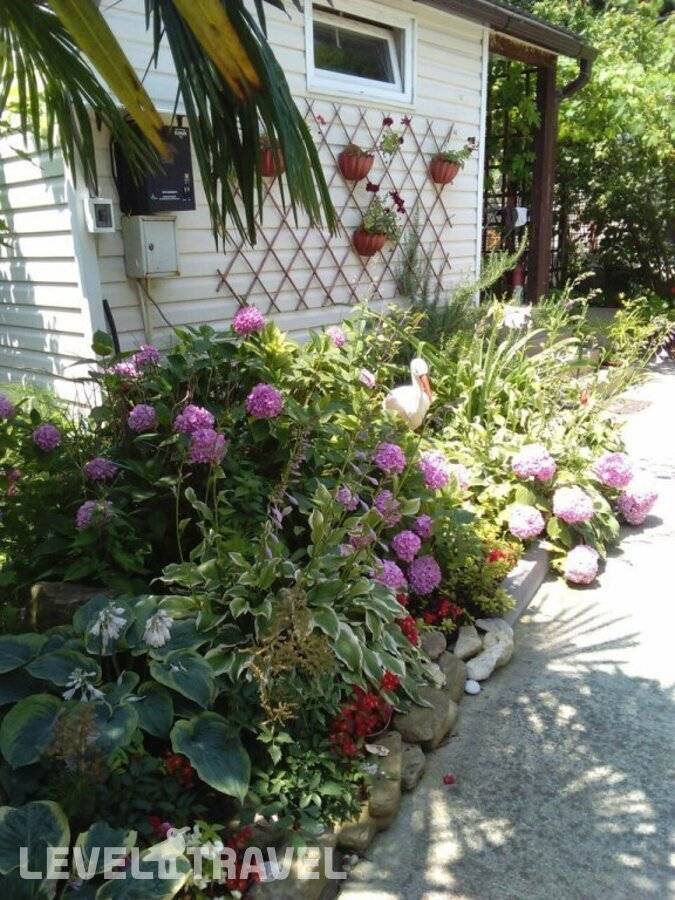 Изображение отеля 26