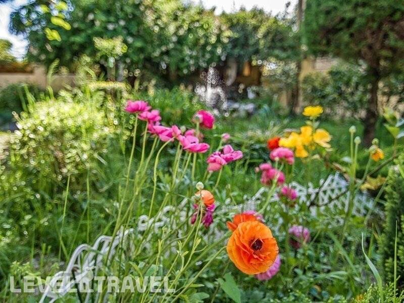 Фотография Отель Ольга