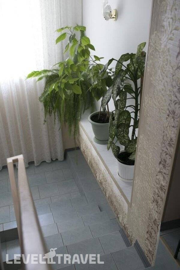 Изображение отеля 16