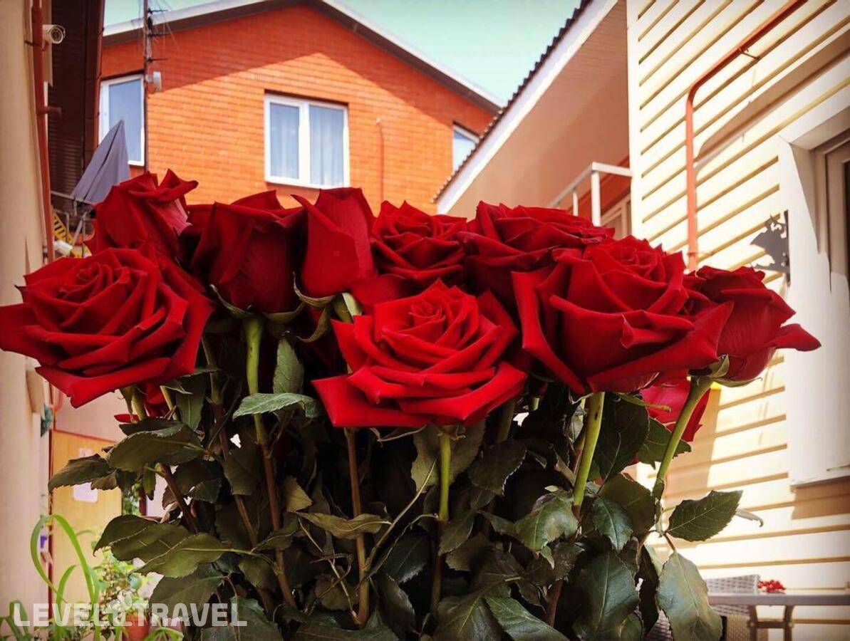 Изображение отеля 6