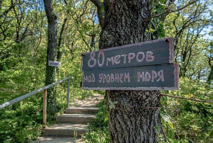 Мини-Отель Green Wood