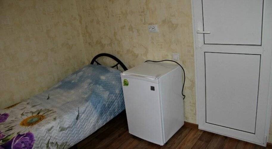 ГД Елена