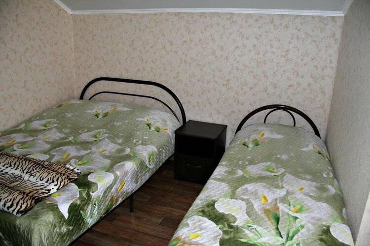 ГД Елена