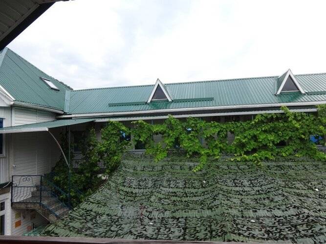 ГД Белый Пароход