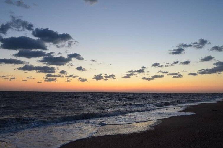 ГД Анамеро