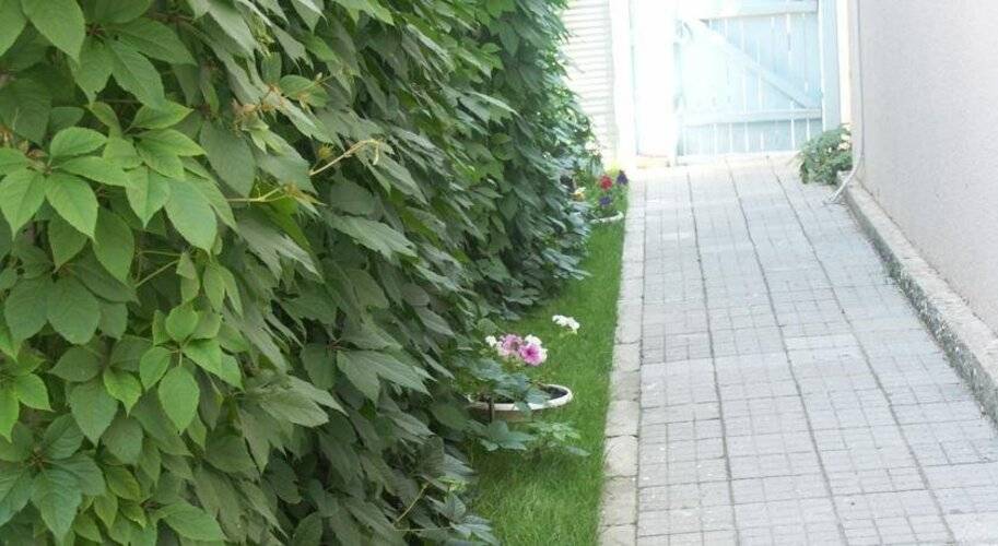 Отель Альзас
