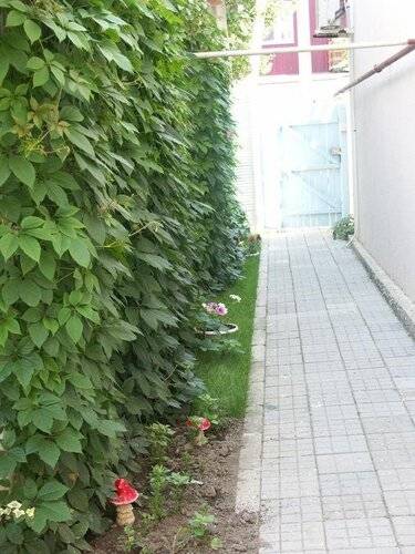 Отель Альзас