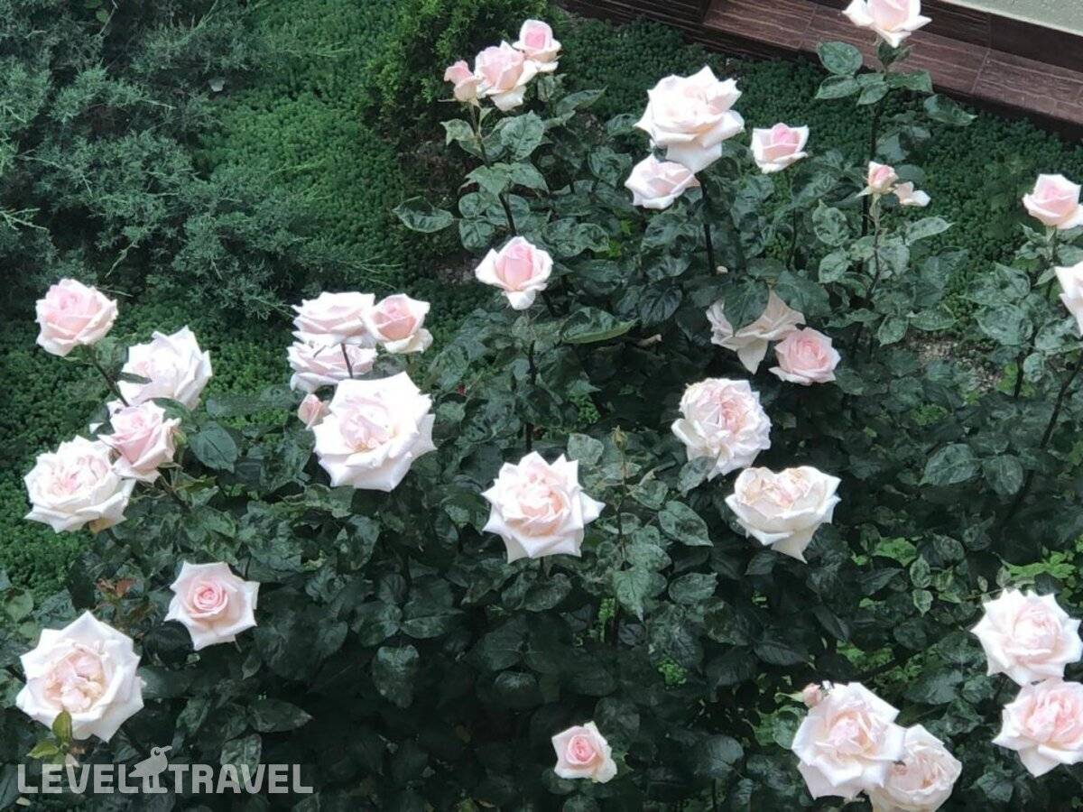 фотографии отеля ГД На Круче в Россия(Геленджик) - фото №19