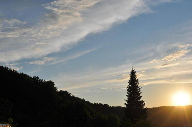 ГД Яблоневый Цвет