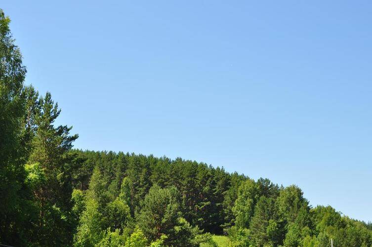 ГД Яблоневый Цвет