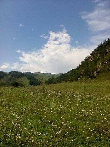 Отель Беркут