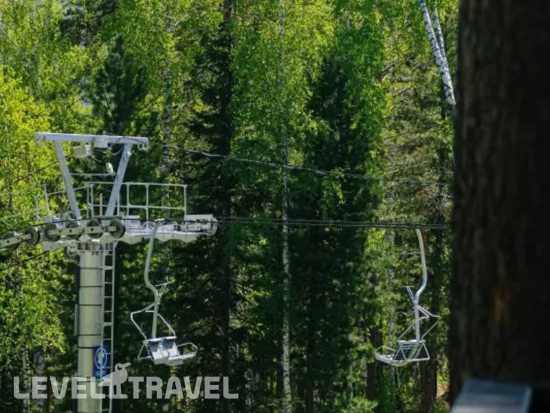 Фотография Борус Фотография Борус