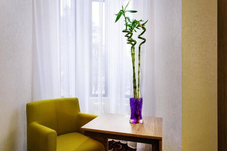 City & Business Hotel