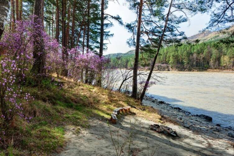 Орлиное Гнездо Туристический Комплекс