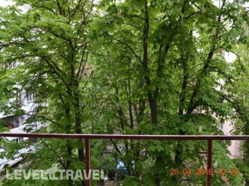 Фотография ГД Радон