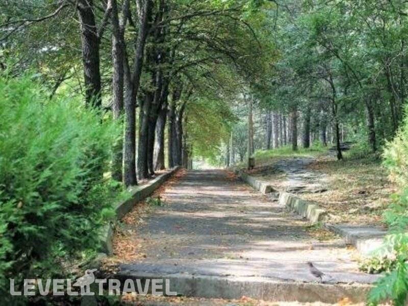 Фотография ГД Радон