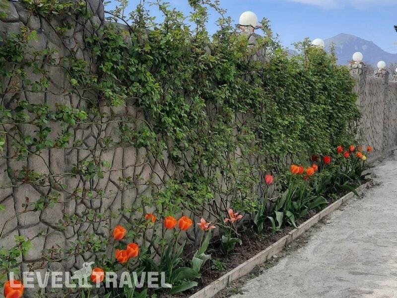 Фотография Отель Арго