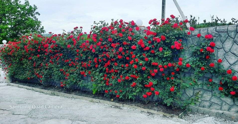 Отель Арго