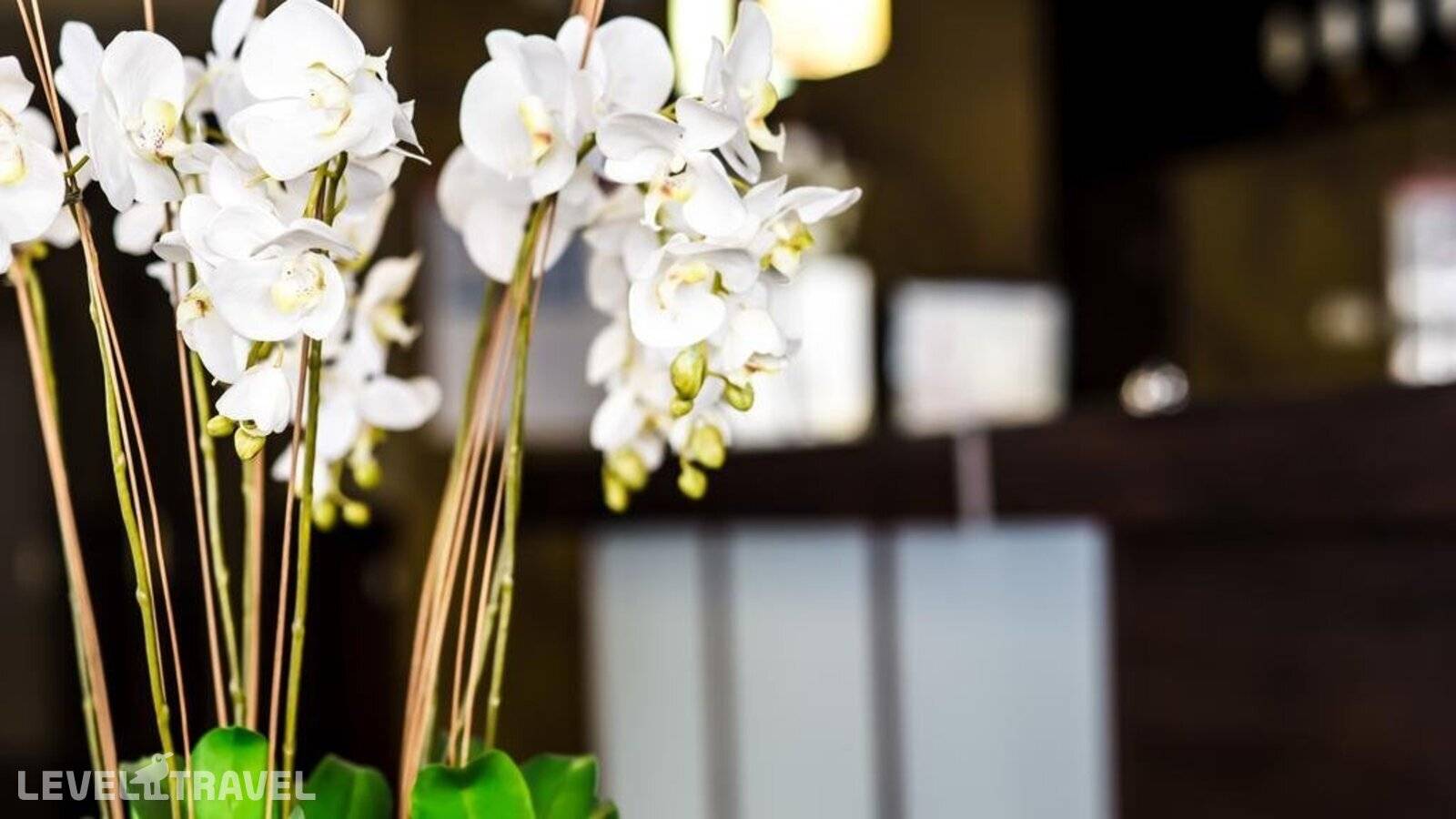 фотографии отеля Stellar Collection Chalet в Россия(Эсто-Садок) - фото №17