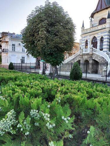 Отель Звездный