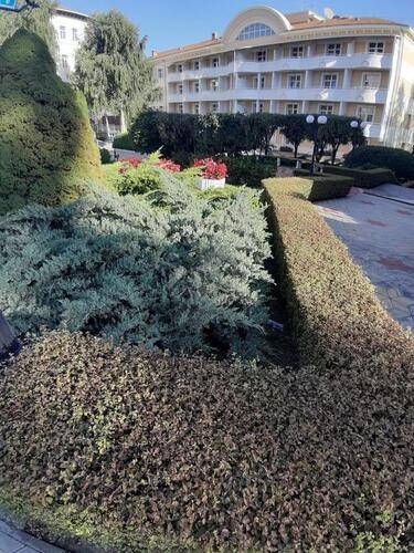 Отель Звездный