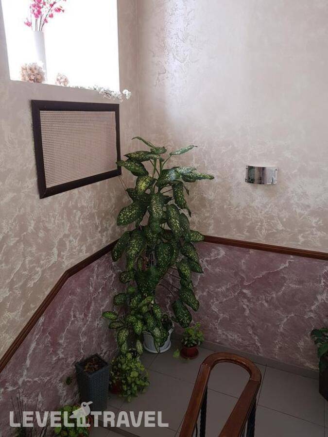 Изображение отеля 15