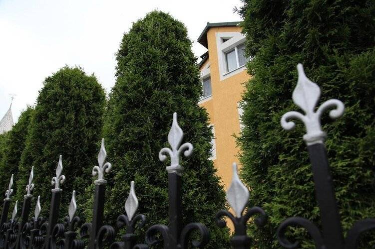 Янтарина