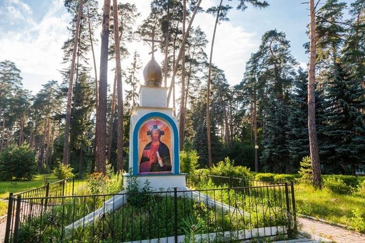 Санаторий Васильевский