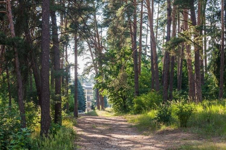 Санаторий Васильевский