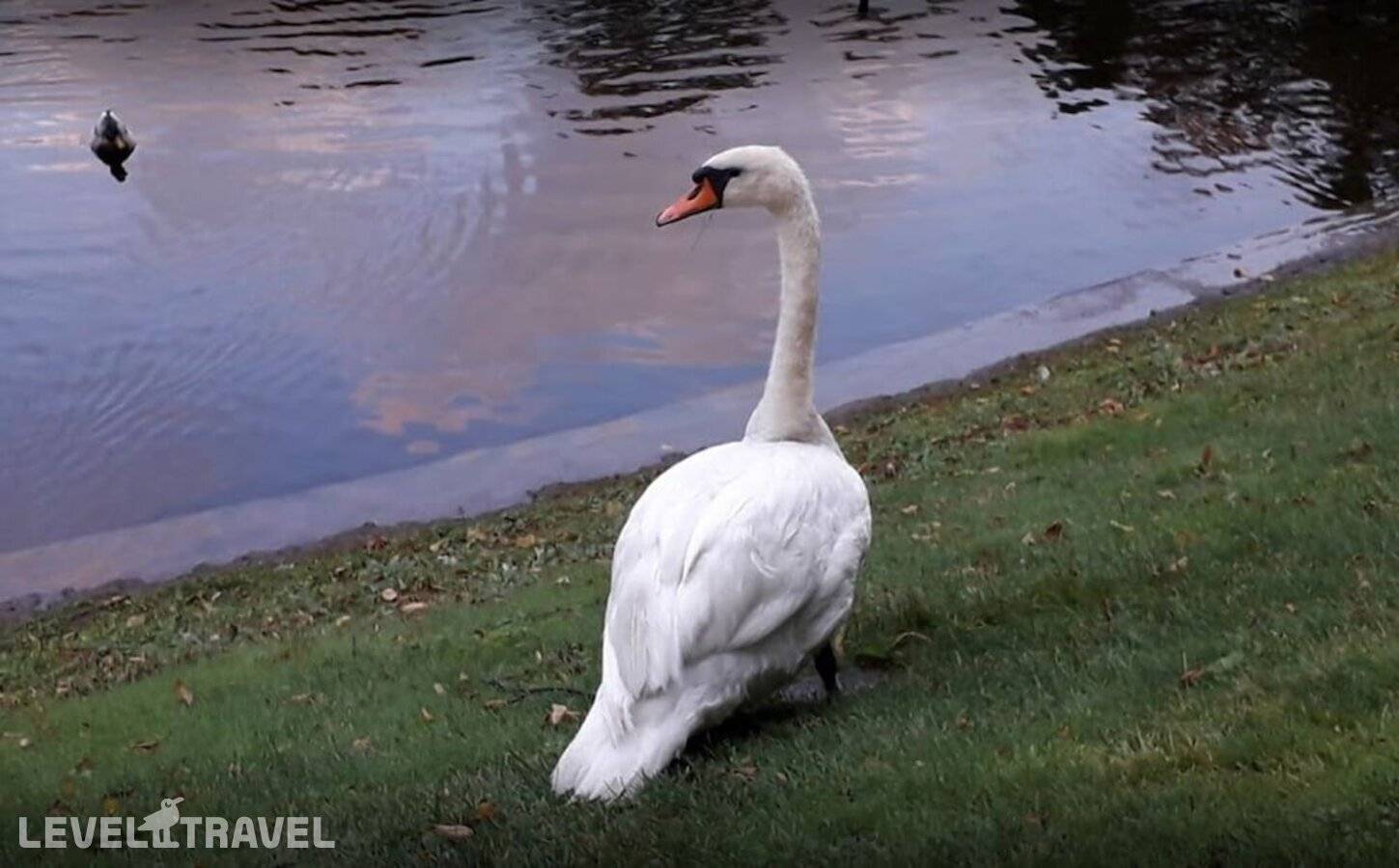 фотографии отеля Мини-Отель Mushroom в Россия(Адмиралтейский район) - фото №30