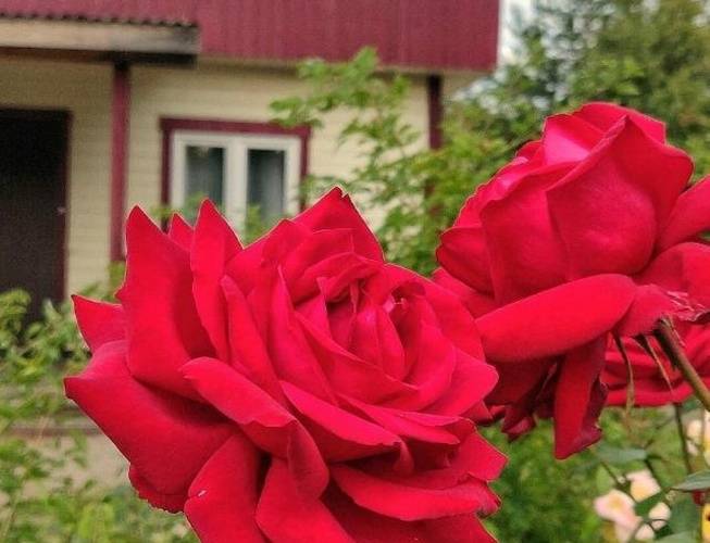 Отель Ретур